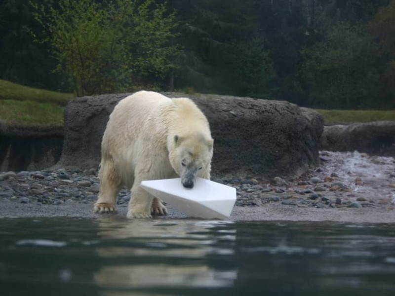 november boris with iceberg