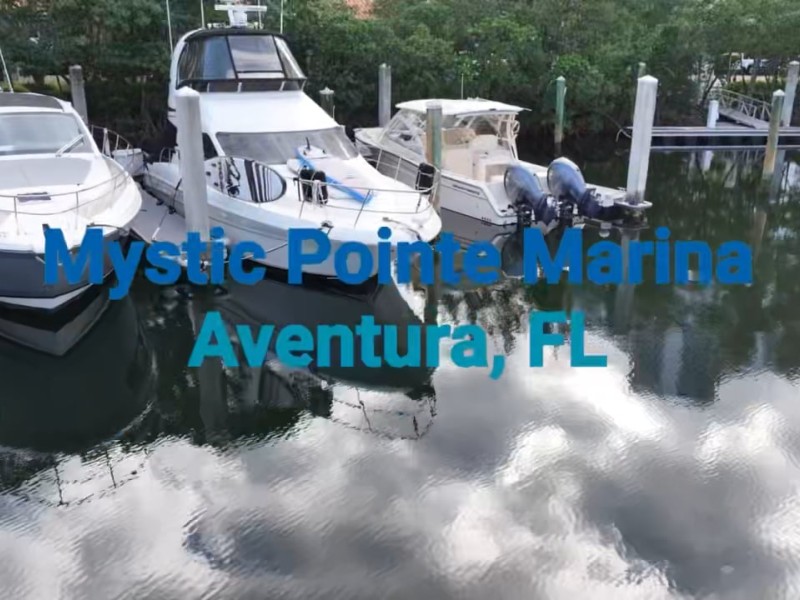 mystic pointe marina trionic dock