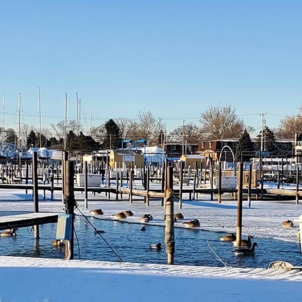 Marina Dock Boxes